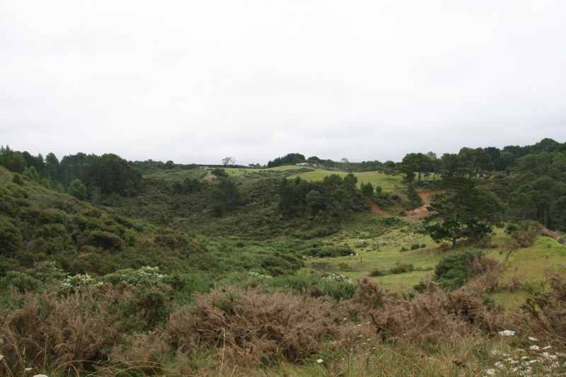 Nieuw-Zeeland 2011 - 0435
